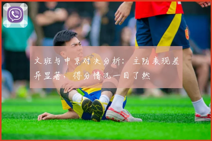 文班与申京对决分析：主防表现差异显著，得分情况一目了然
